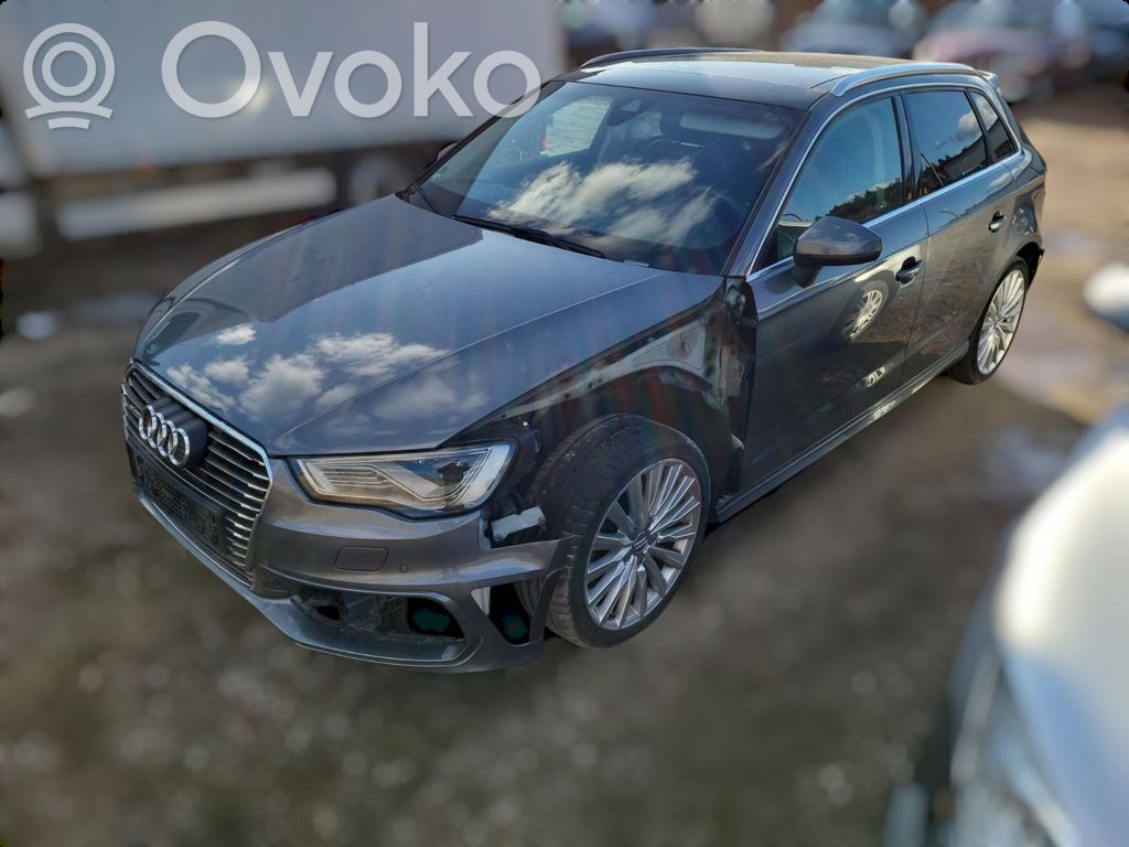 A3 S3 8V A3, S3  12E820803E