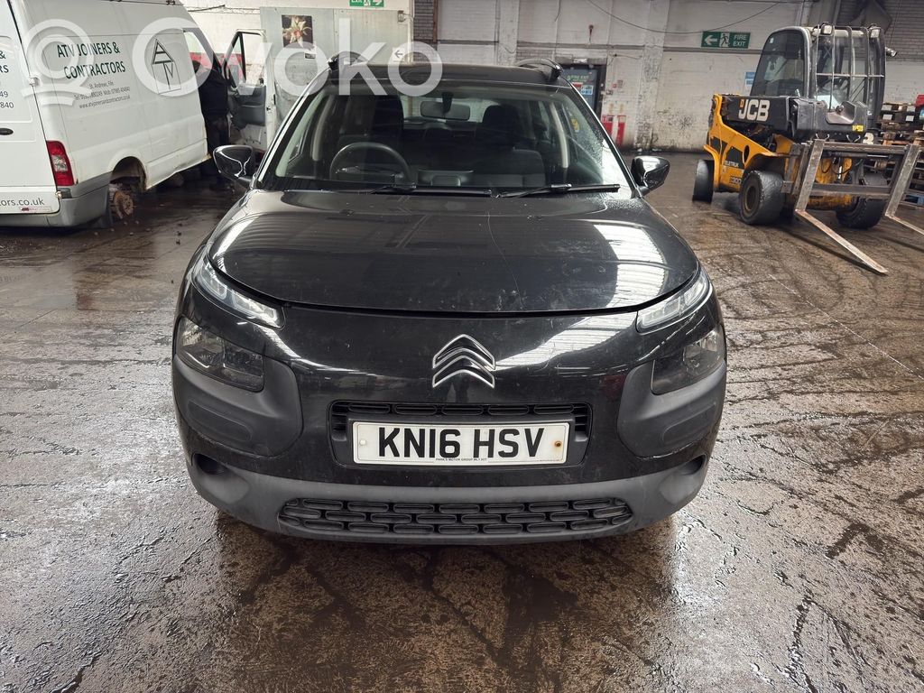 C4 Cactus C4 Picasso, Grand Picasso, Aircross, Cactus  9810858280