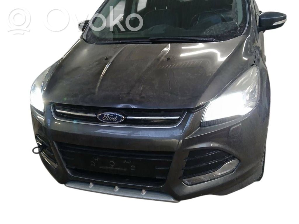 Kuga II Kuga  AM51R018B08AHW