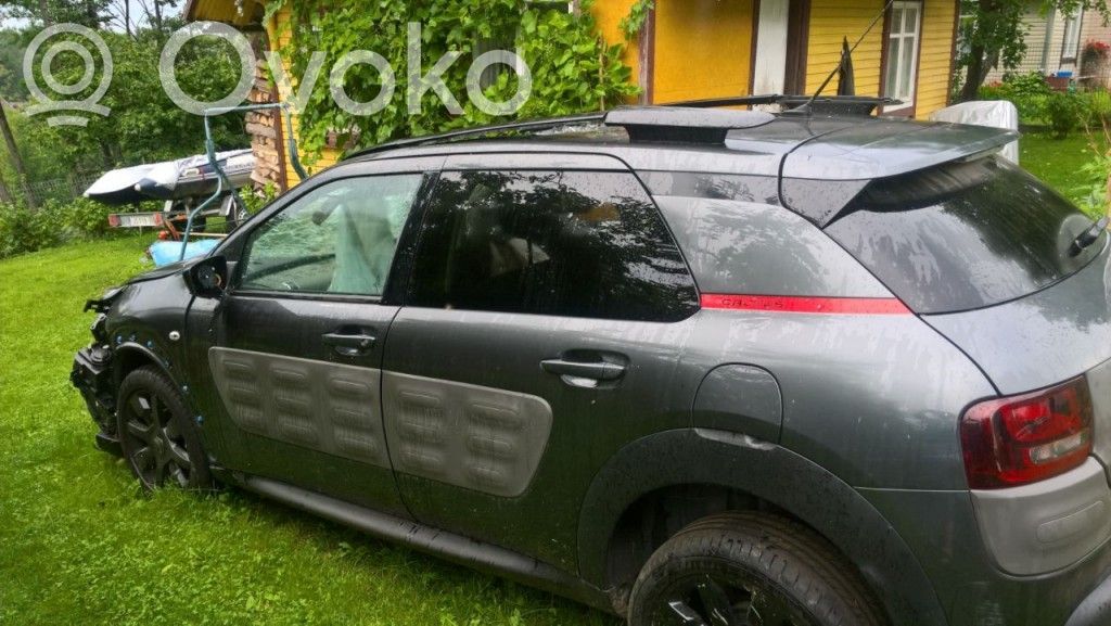 C4 Cactus C4 Picasso, Grand Picasso, Aircross, Cactus  9683738980