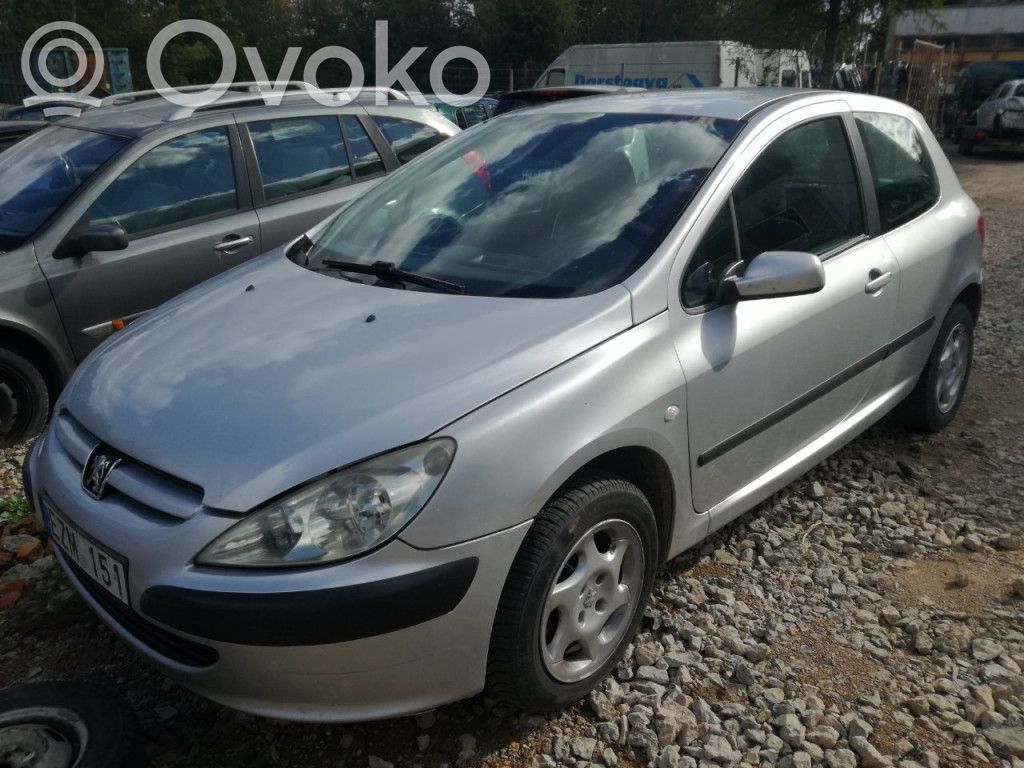 307 307  9635678580