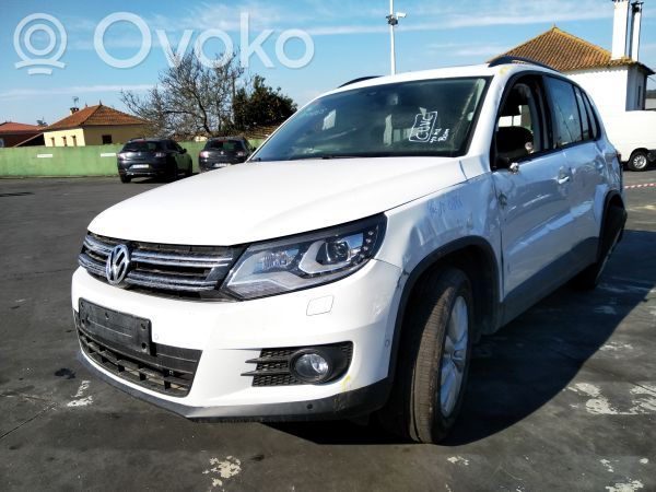 Tiguan Tiguan