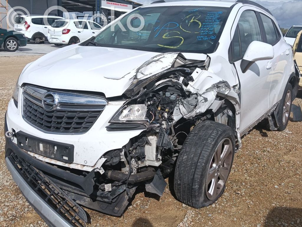 Mokka Mokka  AVF94444