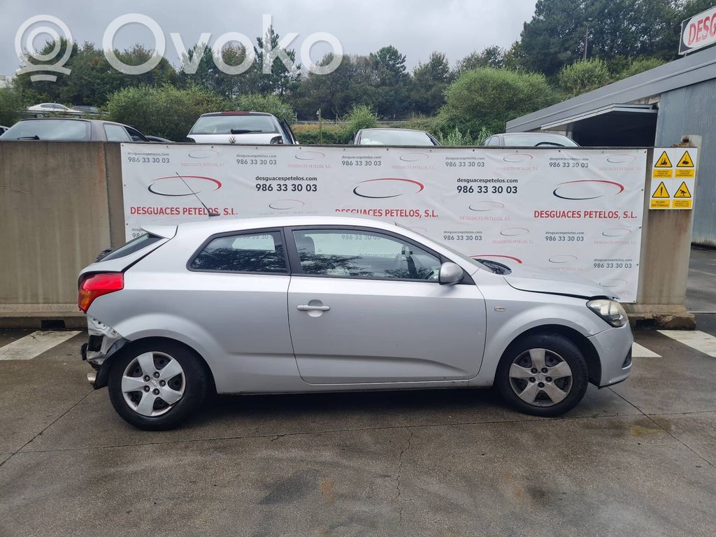 Ceed Ceed, Ceed SW, Pro Ceed  391142A511