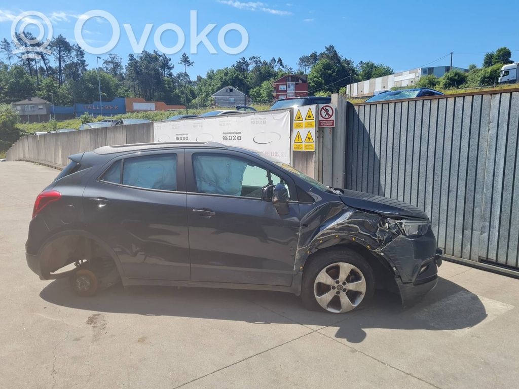 Mokka X Mokka  42444553