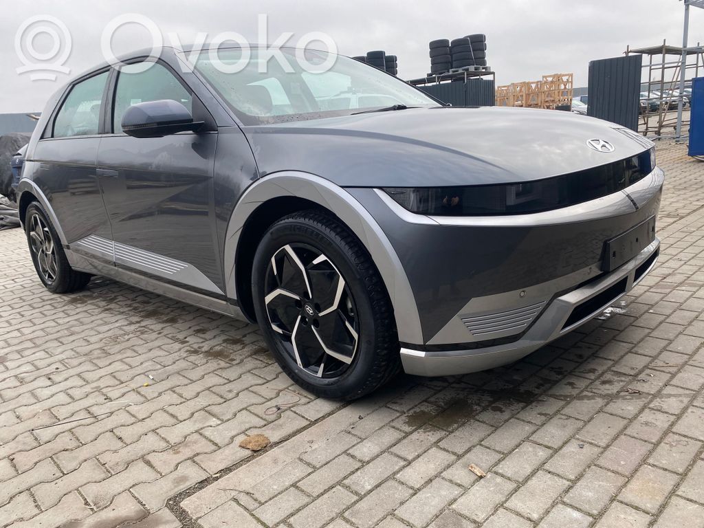 Ioniq 5 Ioniq 5  95920L1000