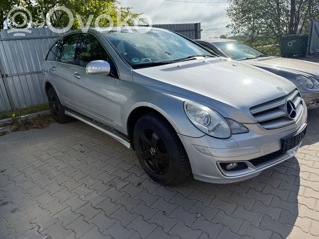 R W251 R-class, AMG (W251)  A2518201579