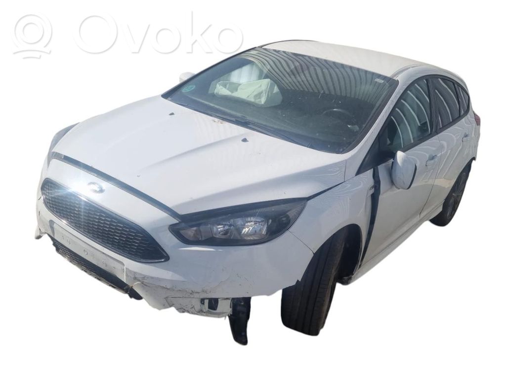 Focus Focus  2759482