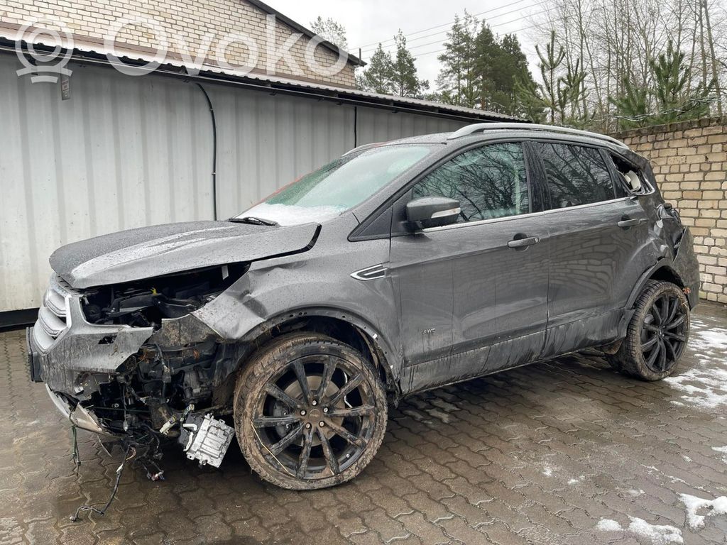 Kuga II Kuga