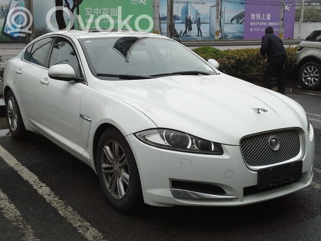 XF X250 XF  508PN