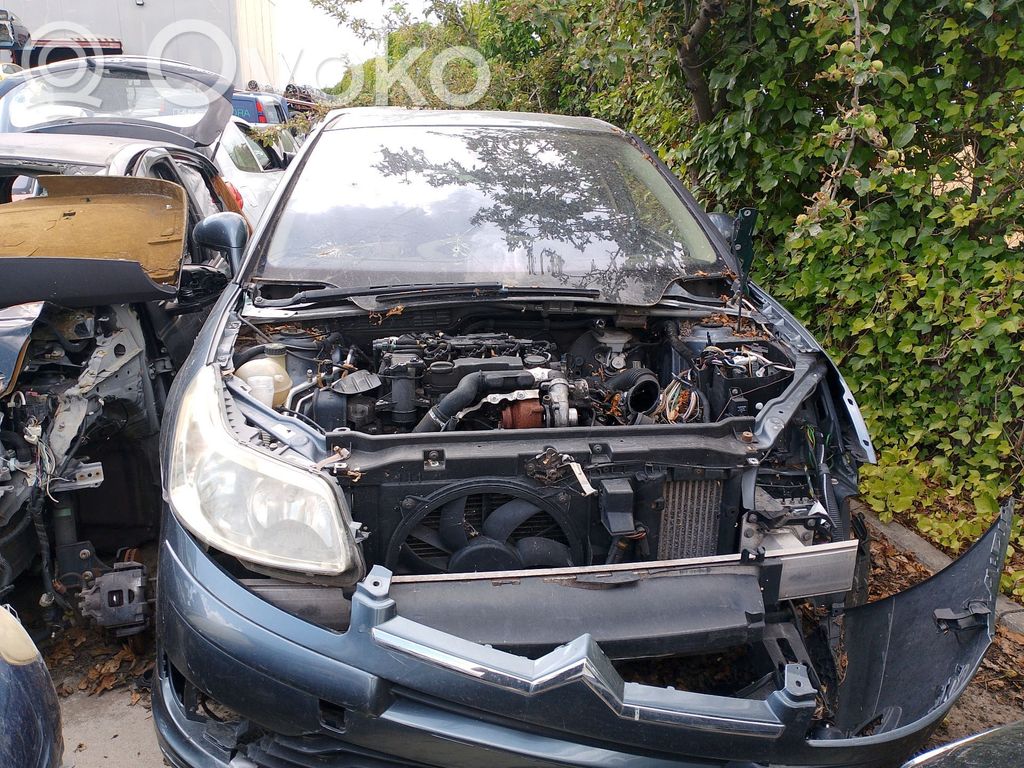 C4 I C4 Picasso, Grand Picasso, Aircross, Cactus  4541E4