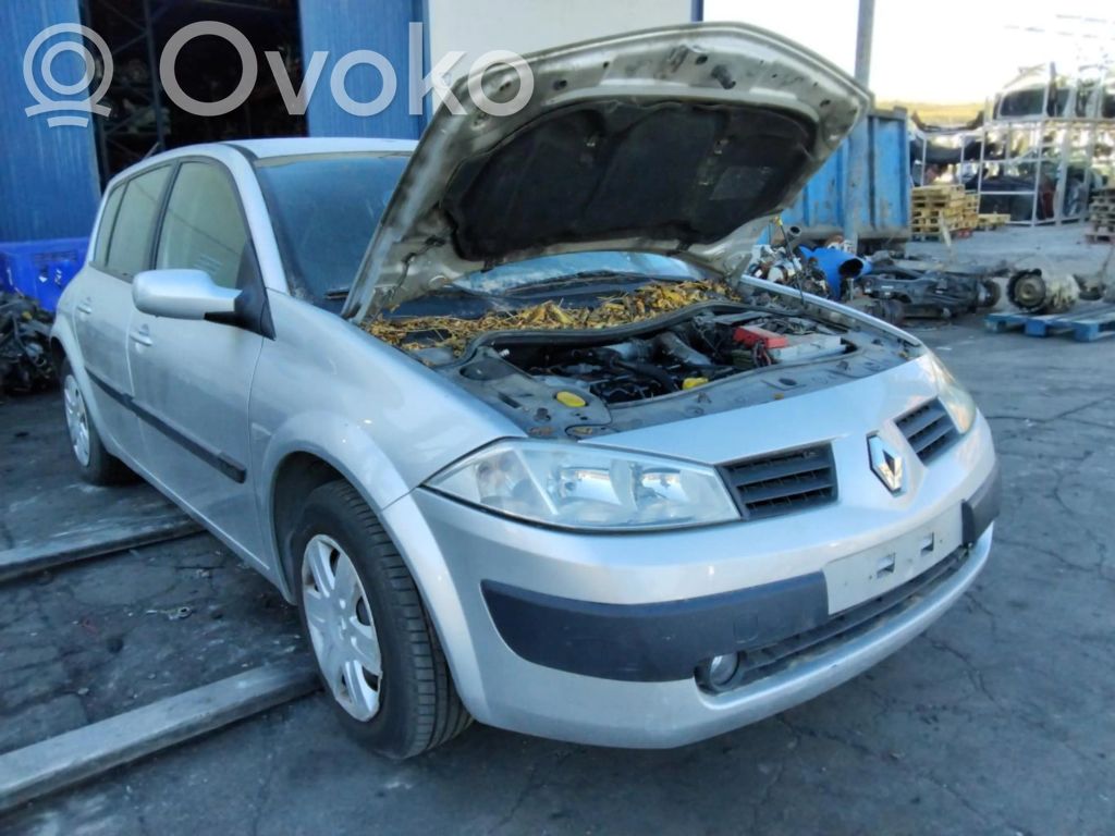 Megane II Megane  8200391966