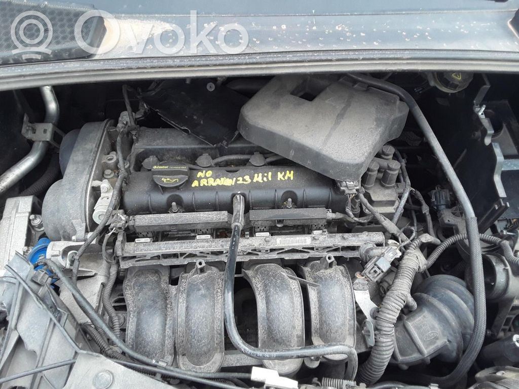 Focus Focus  BV612B195AD