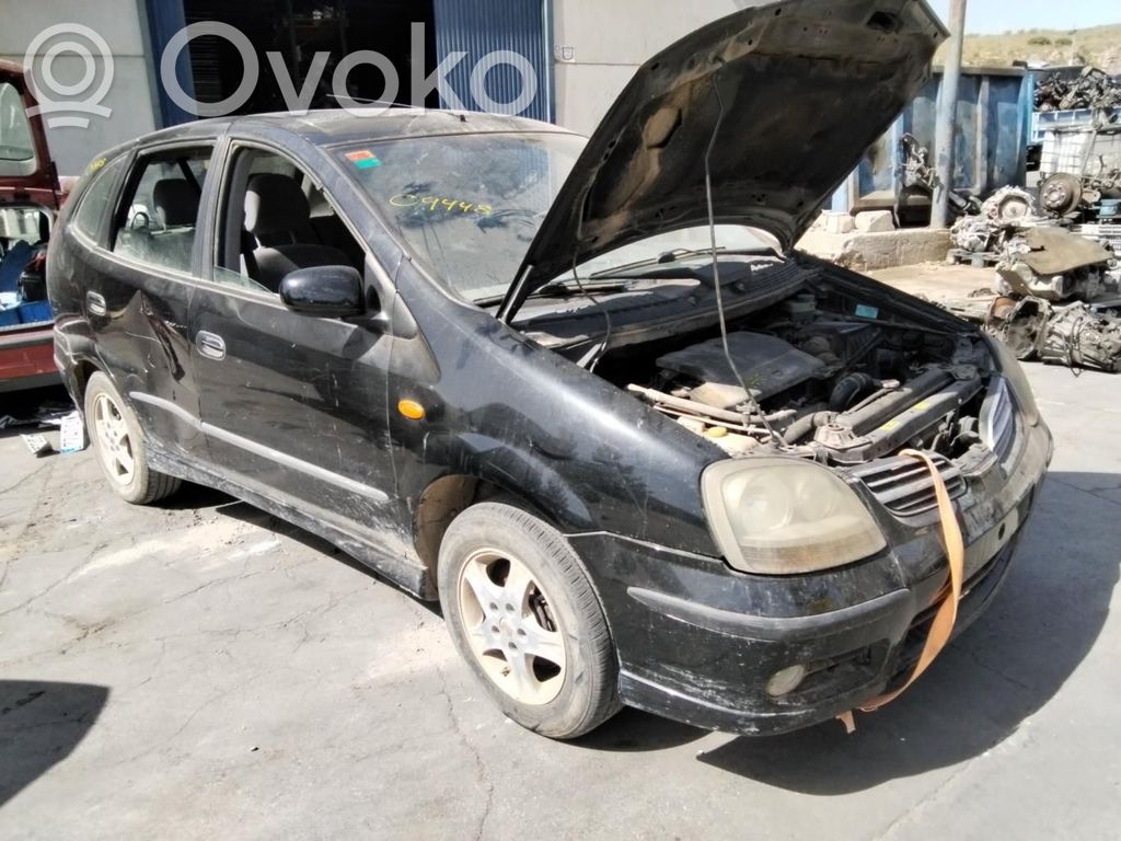 Almera Tino Almera  LRB00500