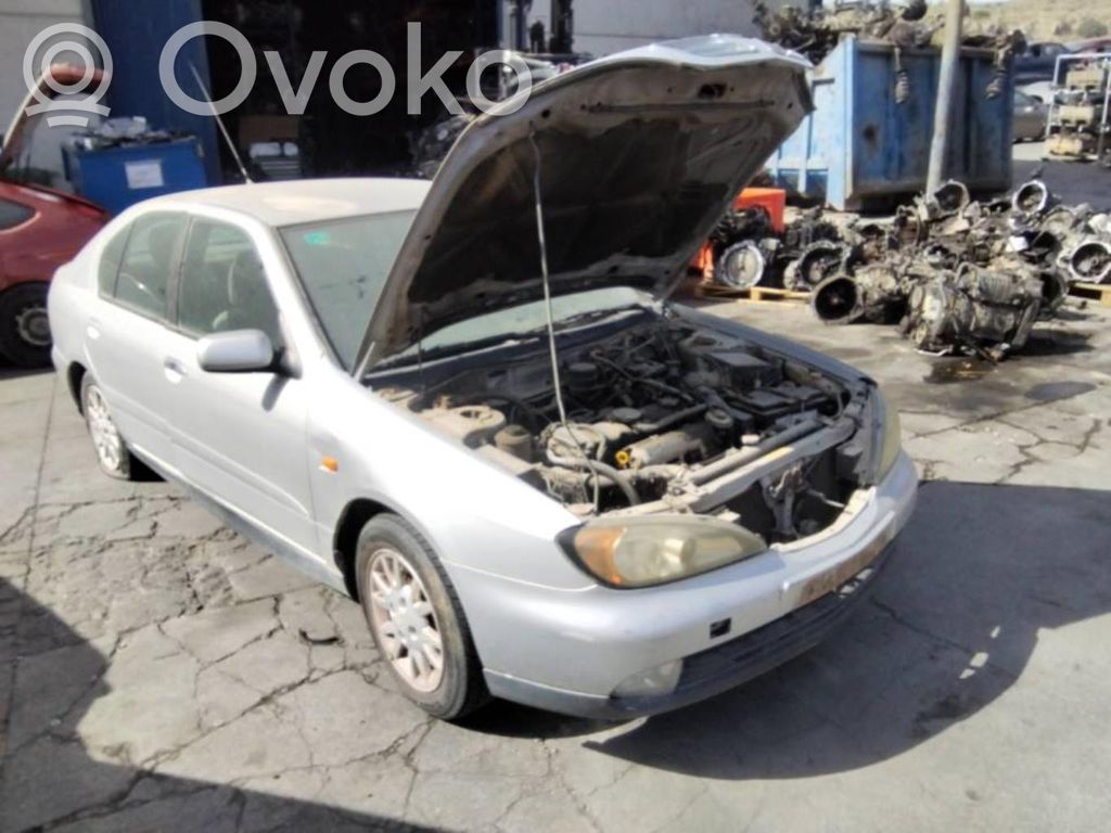 Primera Primera  231002J601