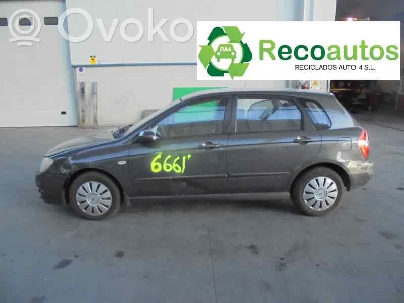 Cerato Cerato  288102A100
