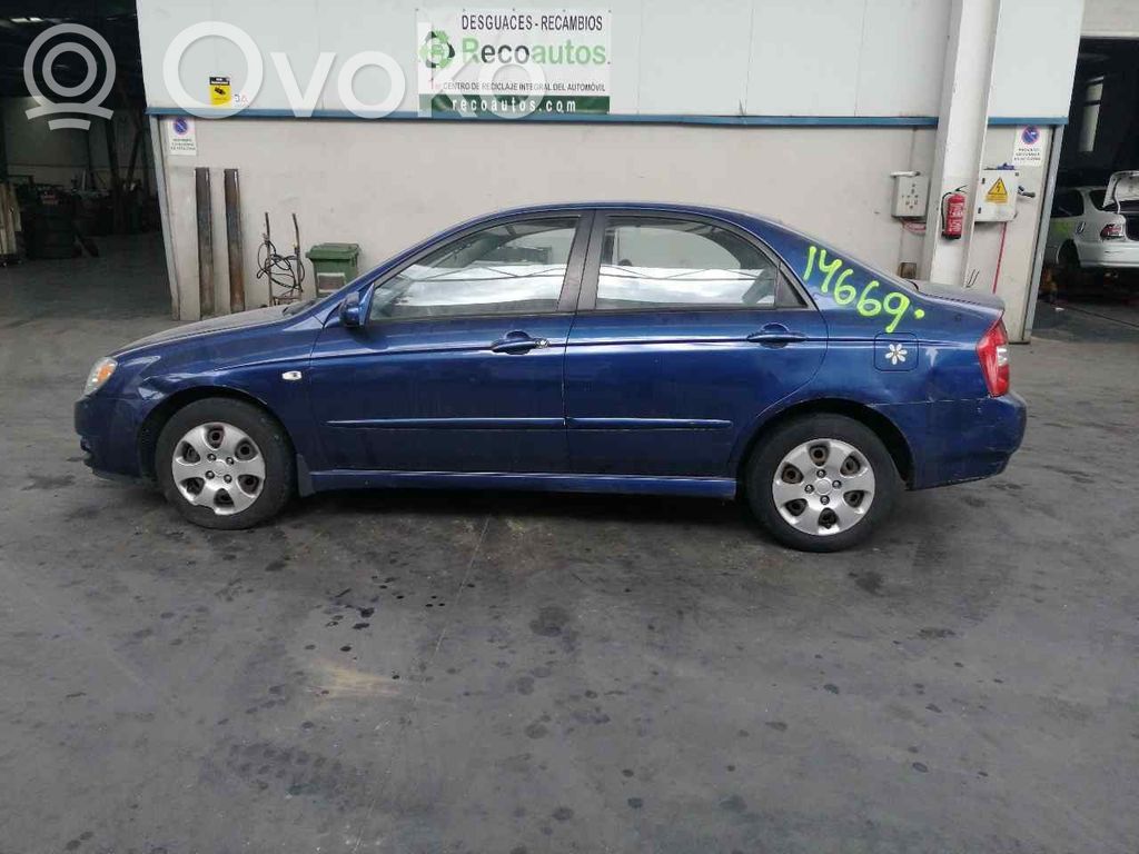 Cerato Cerato  770042F010