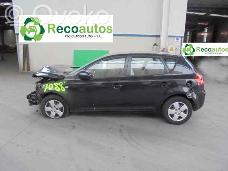Ceed Ceed, Ceed SW, Pro Ceed  957101H100
