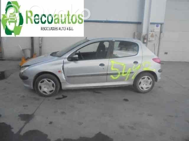 206 206, 206+  96307459ZL