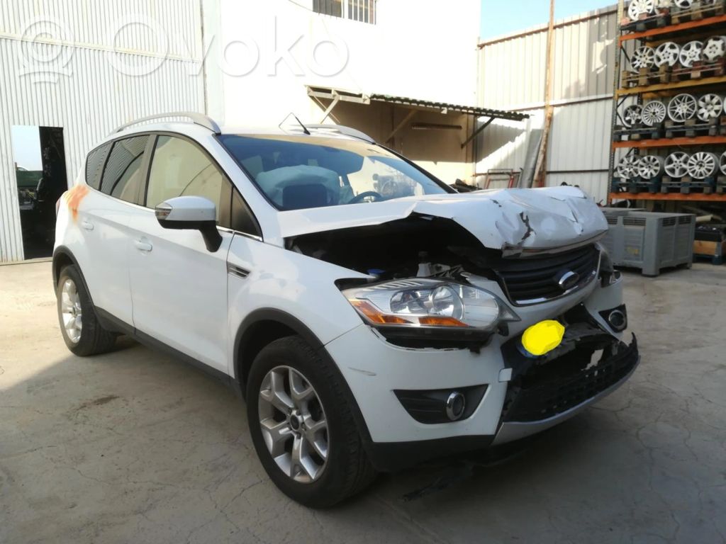 Kuga I Kuga  1499332