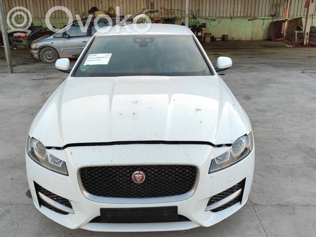 XF X250 XF  H4D351254AA