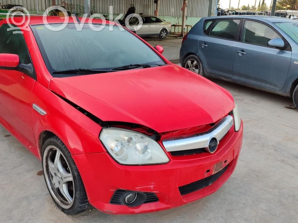 Tigra B Tigra
