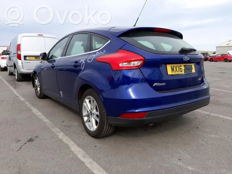 Focus Focus  AM51611C46AC