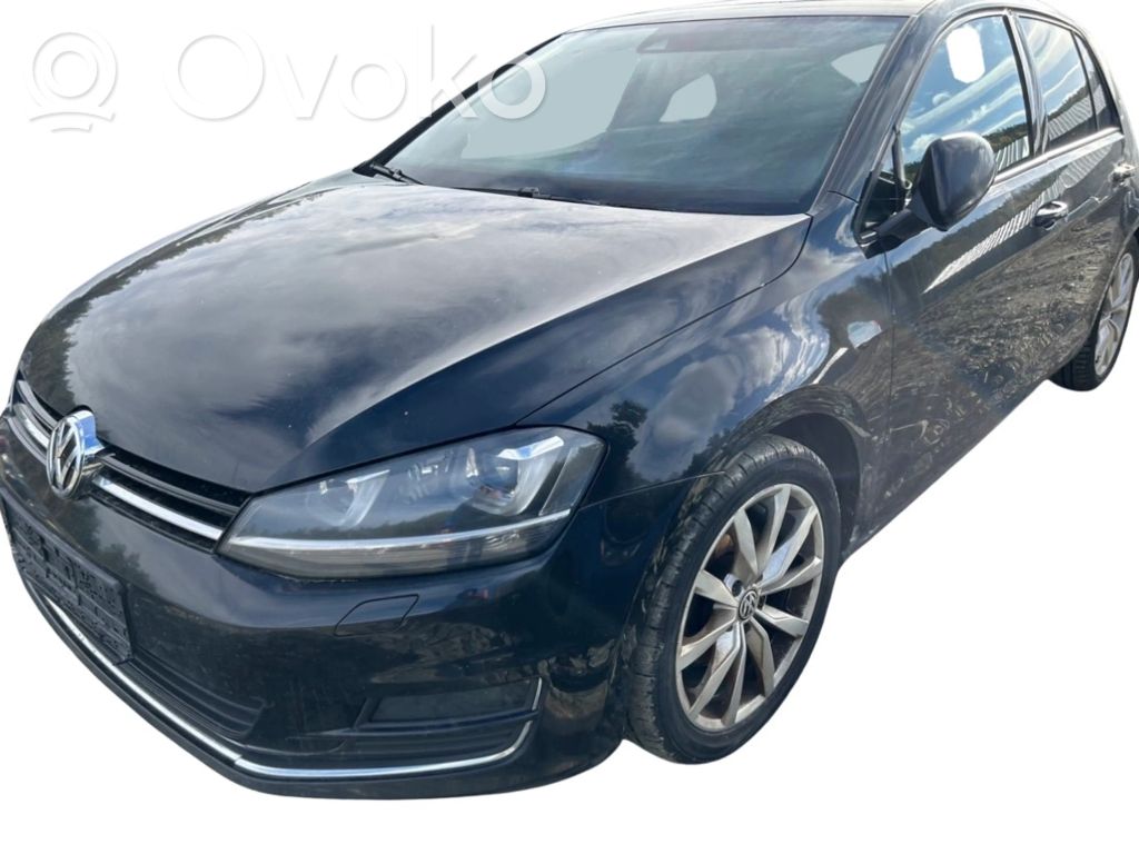 Golf VII Golf  1K0973804