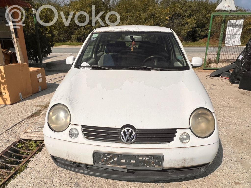 Lupo Lupo