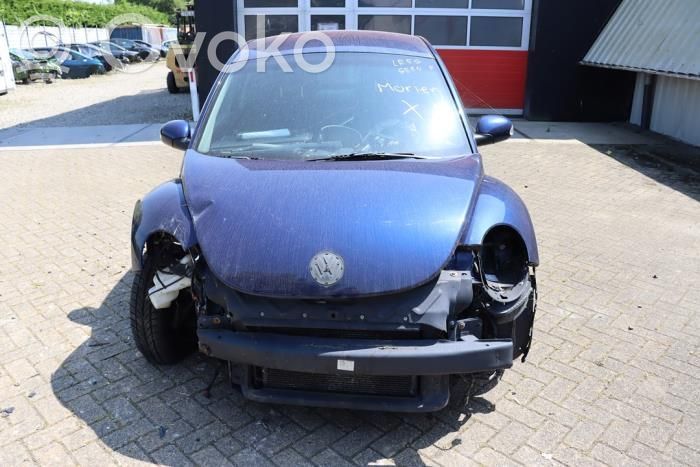 New Beetle Beetle  021906262C