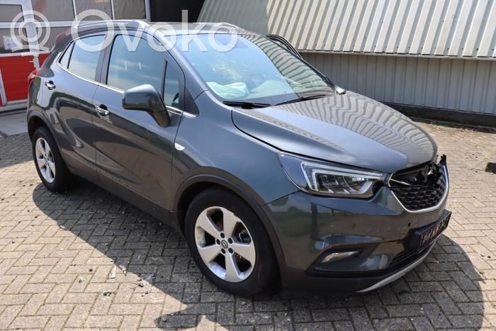 Mokka Mokka  42505952