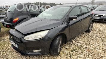 Focus Focus  1876540