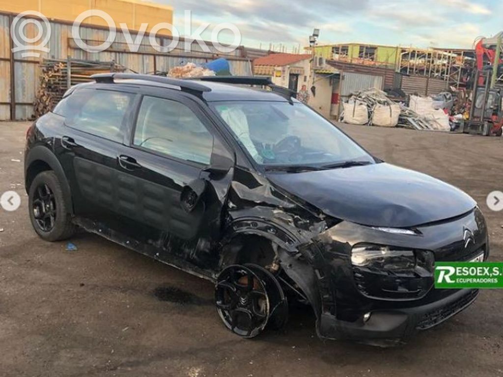 C4 Cactus C4 Picasso, Grand Picasso, Aircross, Cactus  9671924480