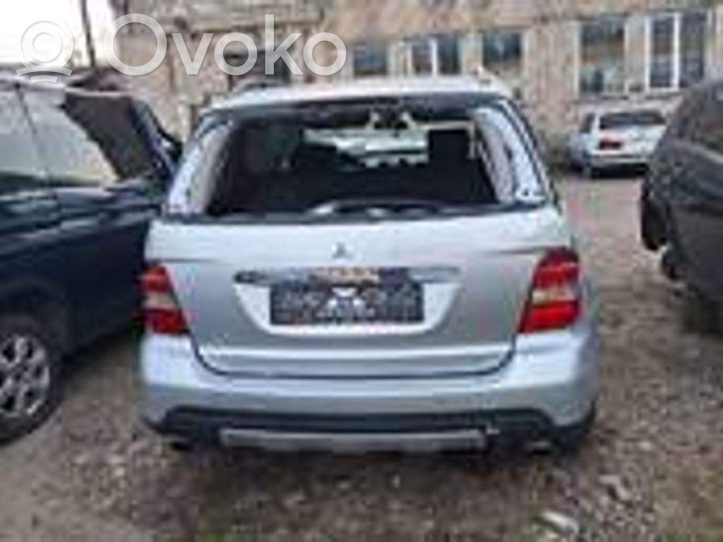 ML W164 ML-class, AMG (W163, W164, W166)  7737080701