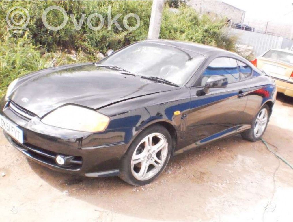 Coupe Coupe  3910837715