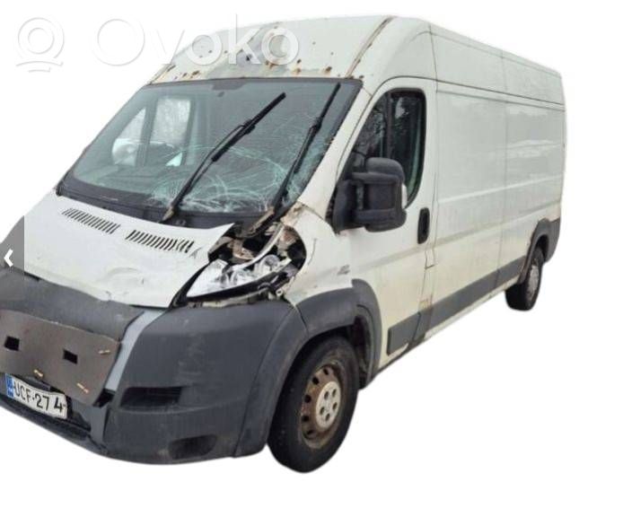 Ducato Ducato  3935