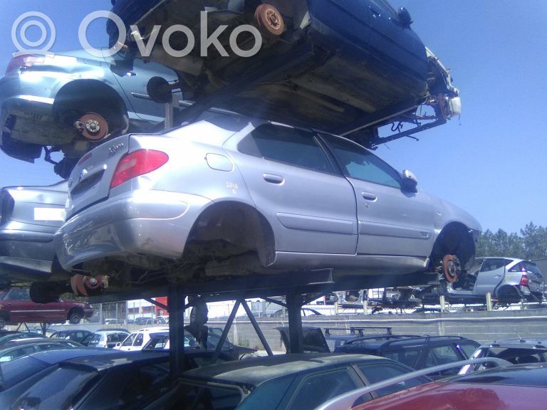 Xsara Xsara, Xsara Picasso