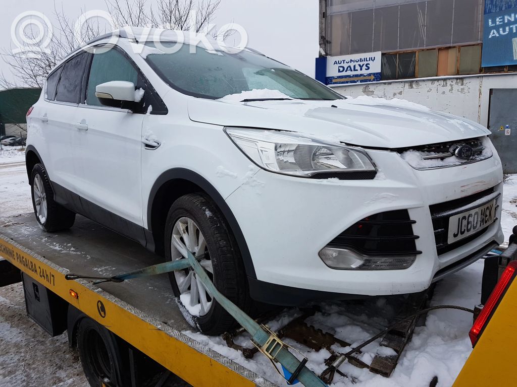 Kuga II Kuga  EJ738005AF