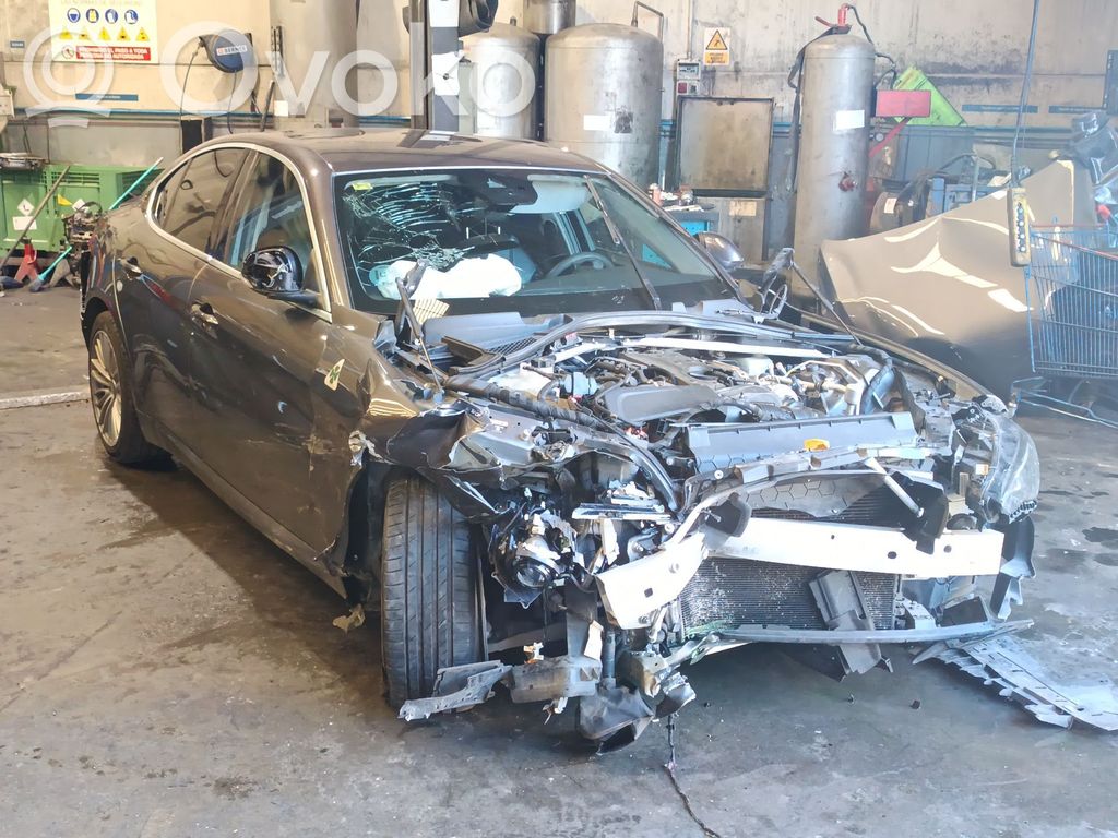 Giulia Giulia  55271493