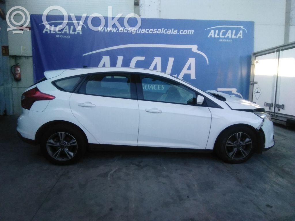 Focus Focus  1751115