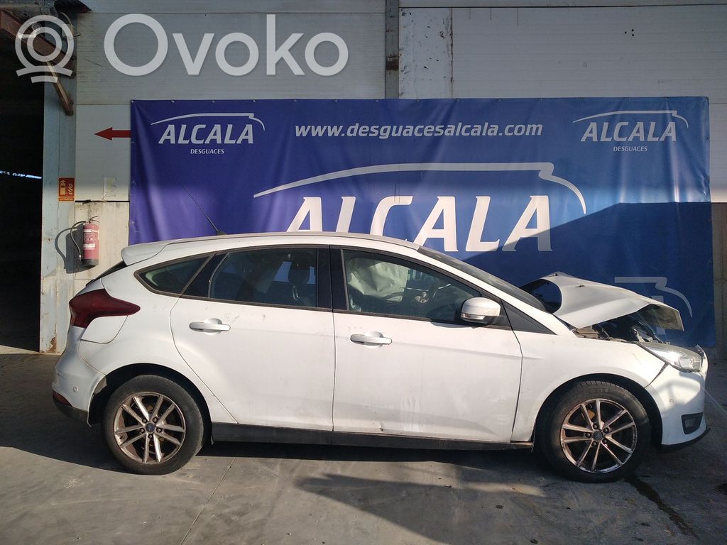 Focus Focus  921760105