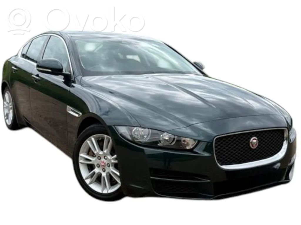 XE XE  GREENJBC1753