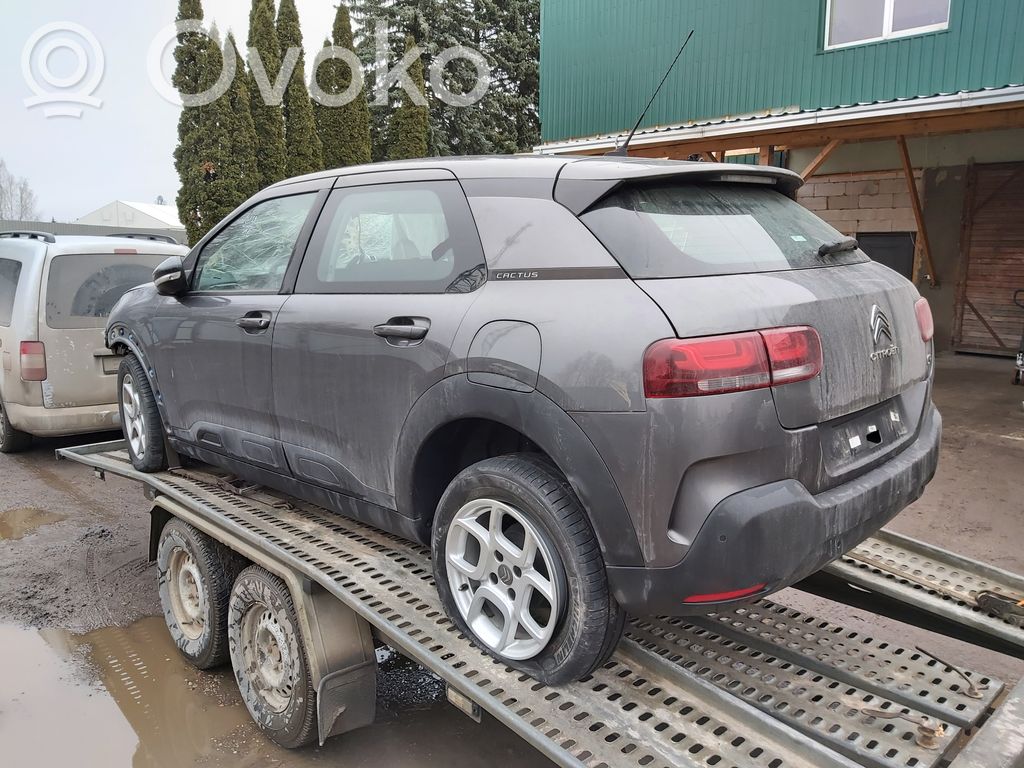 C4 Cactus C4 Picasso, Grand Picasso, Aircross, Cactus  98294099XT