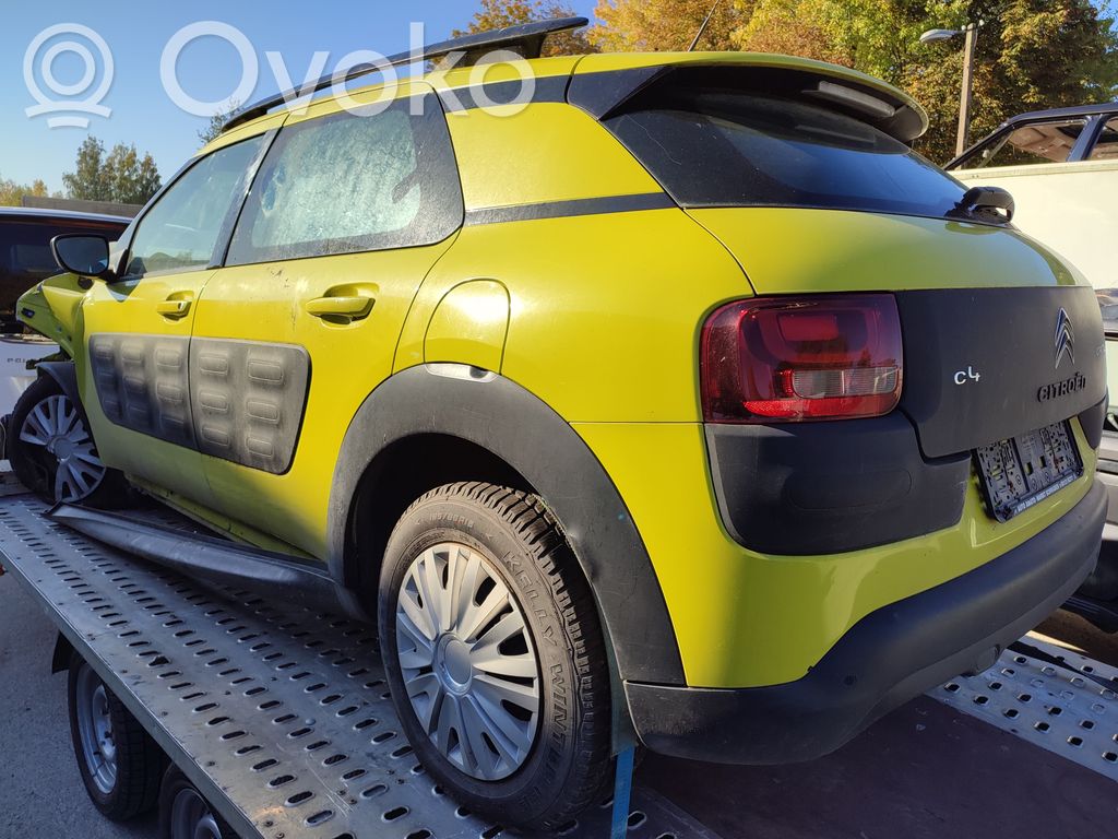 C4 Cactus C4 Picasso, Grand Picasso, Aircross, Cactus  9809808680