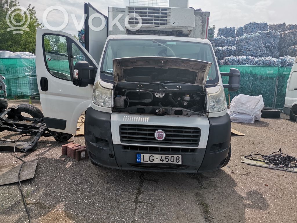 Ducato Ducato  F9524