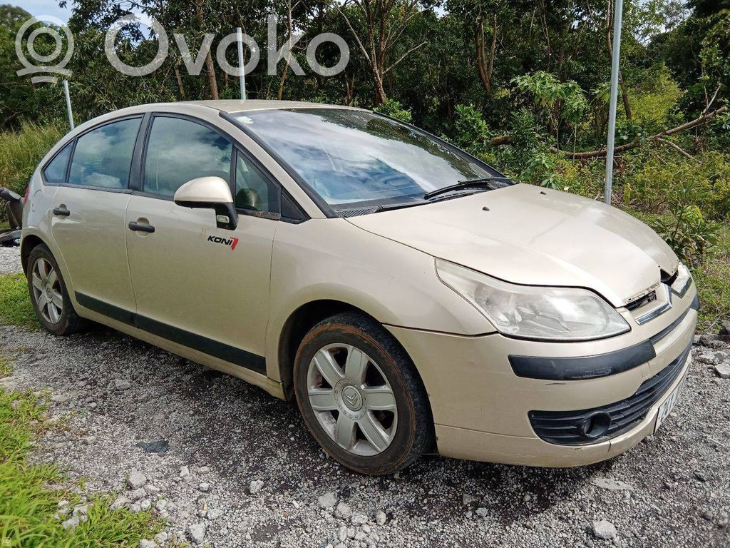 C4 I C4 Picasso, Grand Picasso, Aircross, Cactus  E541
