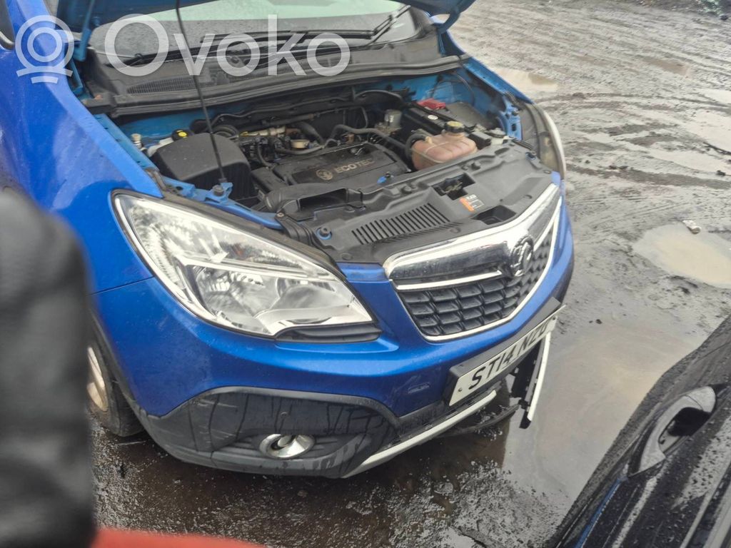 Mokka Mokka  13579675