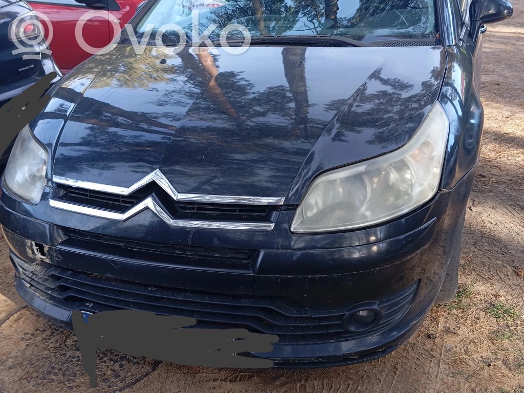 C4 I C4 Picasso, Grand Picasso, Aircross, Cactus  9658137980
