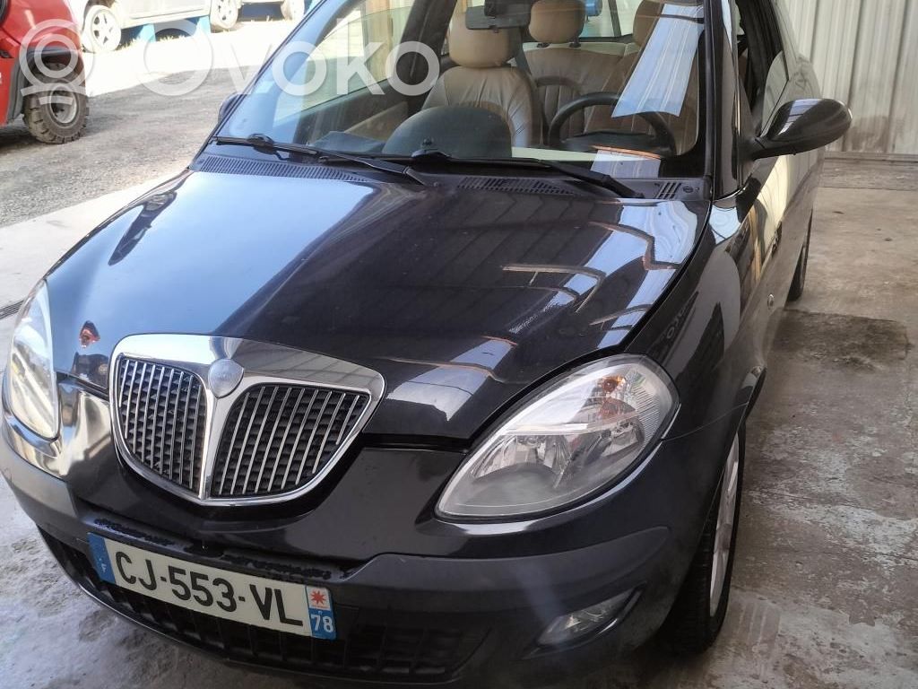 Ypsilon Ypsilon  735456073