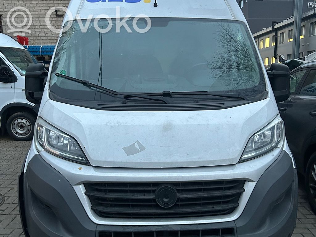 Ducato Ducato  C723